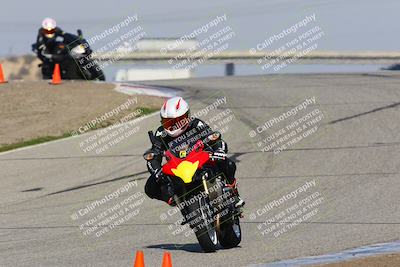 media/Feb-10-2023-TrackDaz (Fri) [[827c11d241]]/C Group/1245pm (Outside Grapevine)/